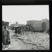 Böhl glass slide 61./1571